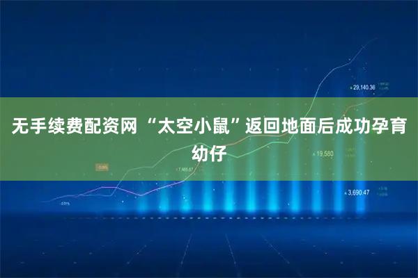 无手续费配资网 “太空小鼠”返回地面后成功孕育幼仔