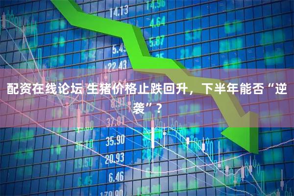 配资在线论坛 生猪价格止跌回升，下半年能否“逆袭”？